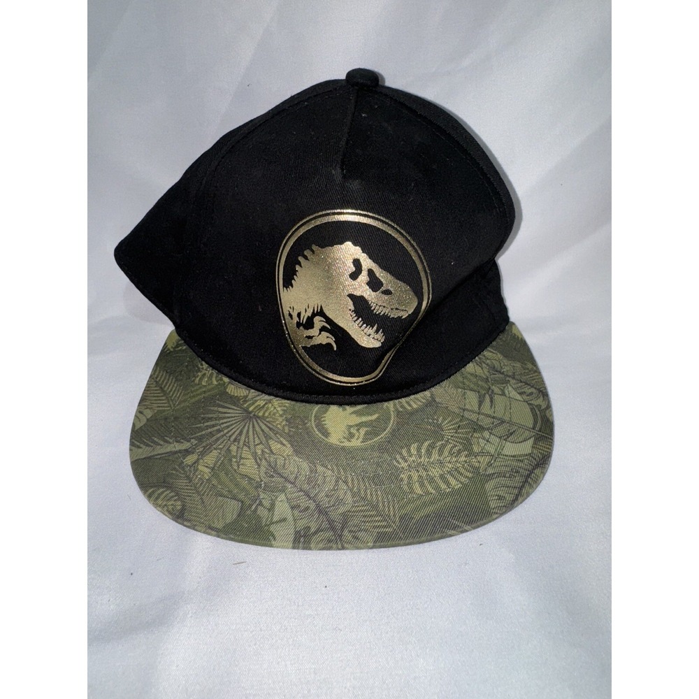 Boys Youth Jurassic World Jurassic Park Ball Universal Studio's Snapback Cap Hat